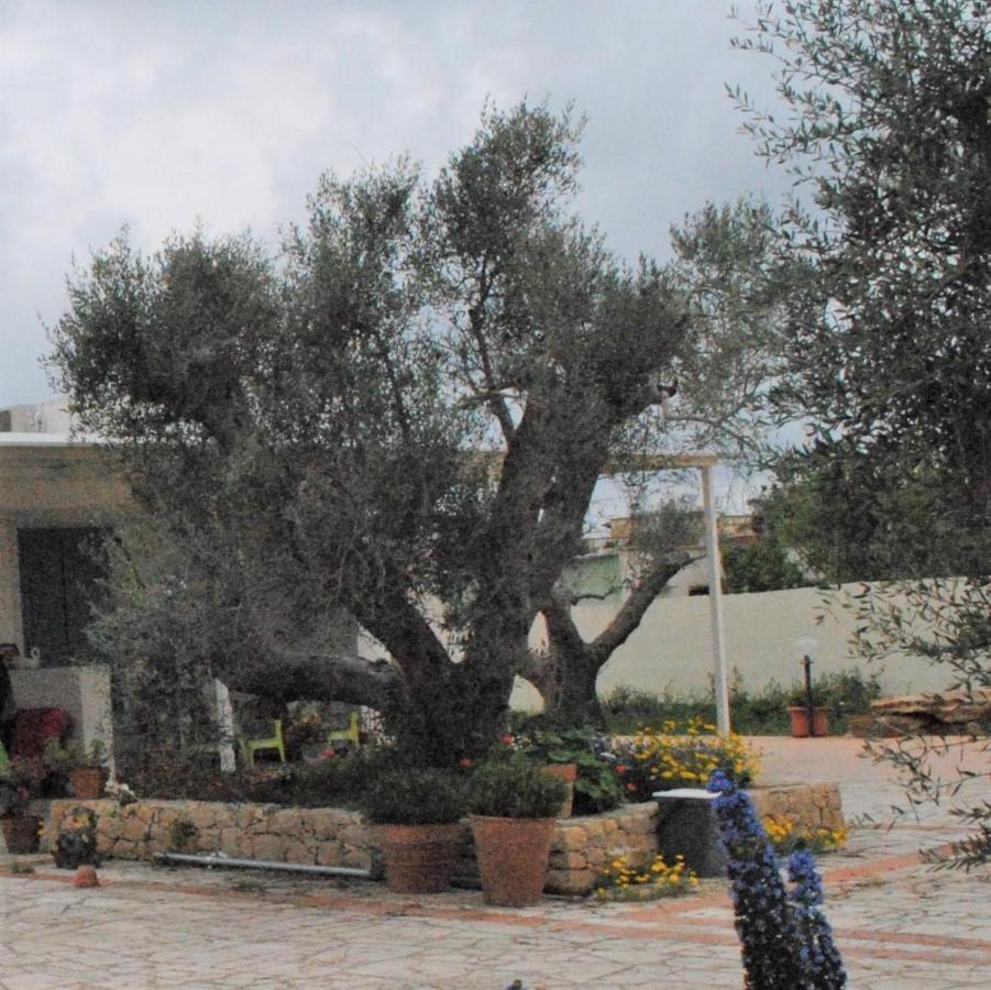 Microborgopasca Bed & Breakfast Sannicola Luaran gambar
