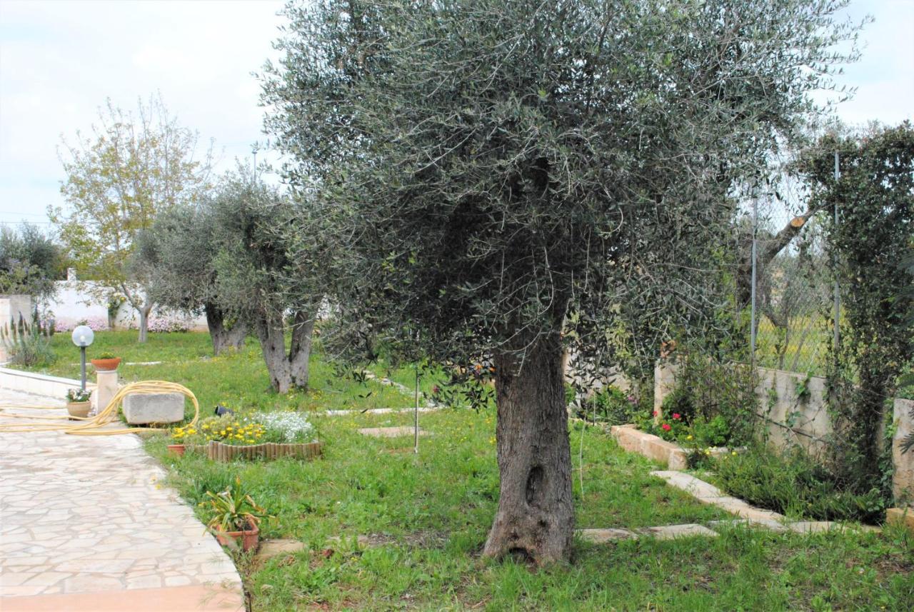 Microborgopasca Bed & Breakfast Sannicola Luaran gambar