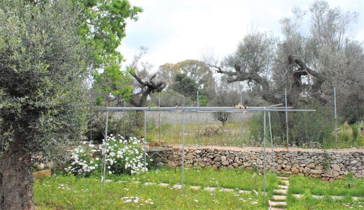 Microborgopasca Bed & Breakfast Sannicola Luaran gambar