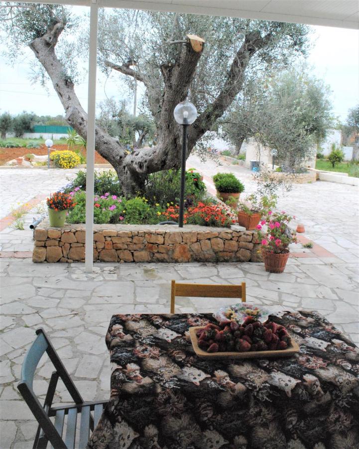 Microborgopasca Bed & Breakfast Sannicola Luaran gambar